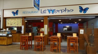 Le Morpho - Le restaurant 