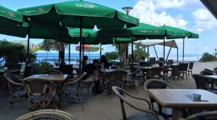 Palmeraie - La terrasse 