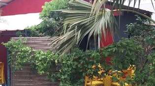 Le Jako Bar - Le restaurant
