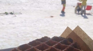 La Belgerie - une gaufre