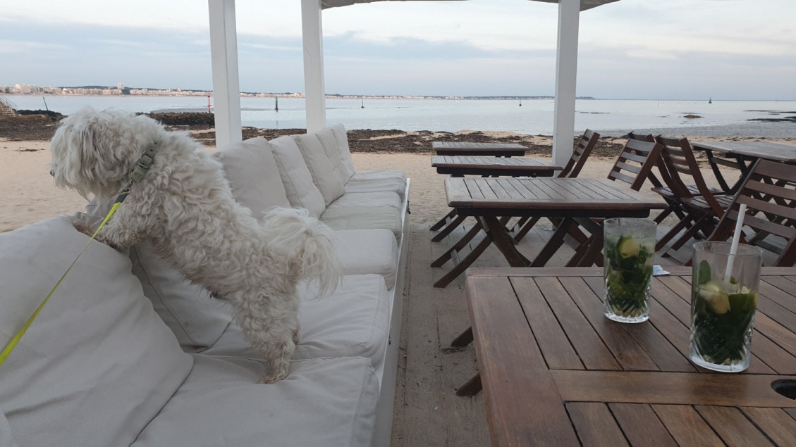 Les Bains Du Nau — photo 4