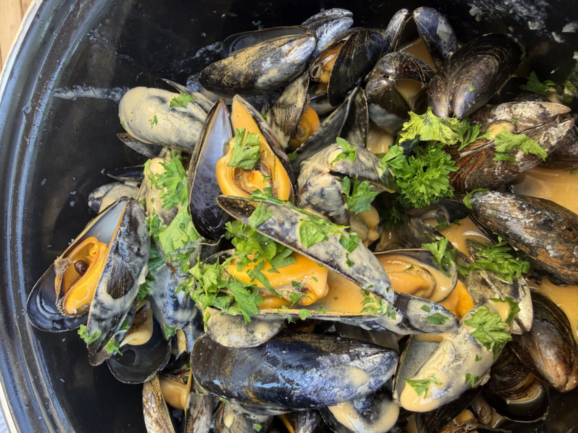 Le Bistrot de la Mer — Bistro - Bar à Damgan — photo 5