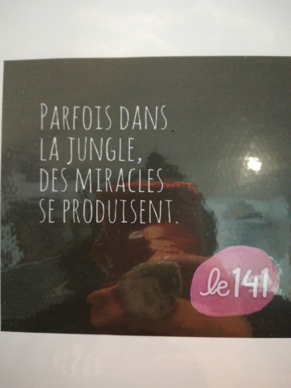 Le 141 — photo 4