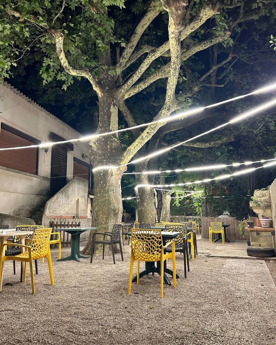 Café de la Gare — photo 4