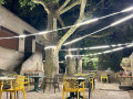Café de la Gare  - Review